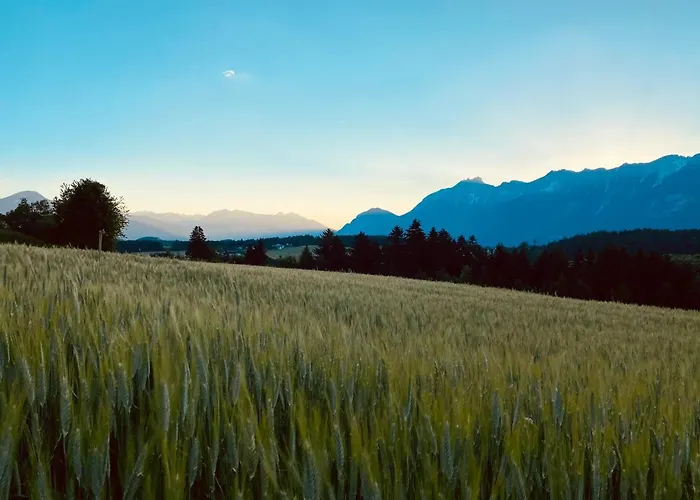 Black Forest - Gehobene Mit Privatsaunas Apartamento